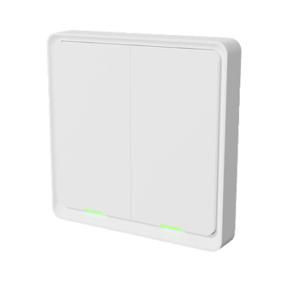 TESLA Smart Switch Dual ZigBee